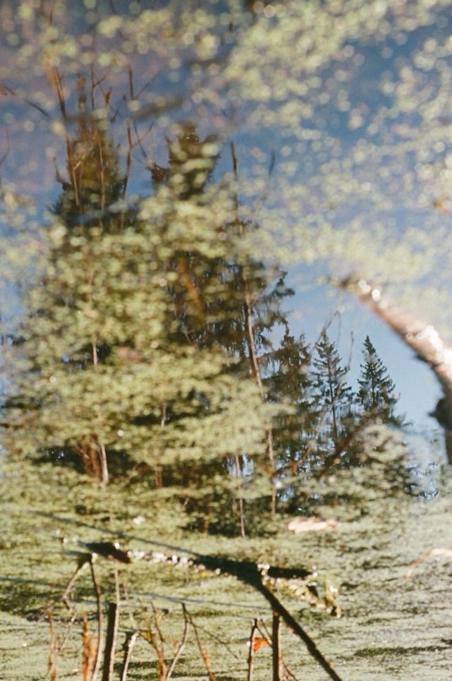 Ojo de pez y charcos, Alberta, septiembre 2026, 35 mm