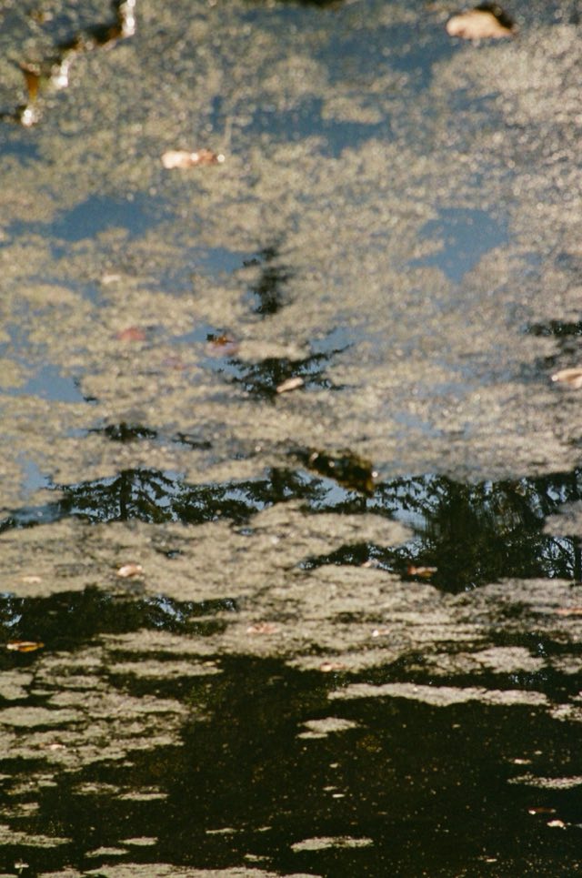 Ojo de pez y charcos, Alberta, septiembre 2026, 35 mm