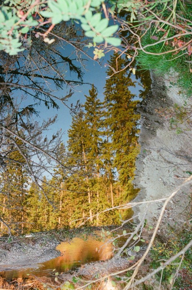Ojo de pez y charcos, Alberta, septiembre 2026, 35 mm