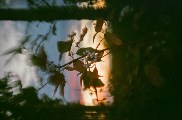 Ojo de pez y charcos, Alberta, septiembre 2026, 35 mm