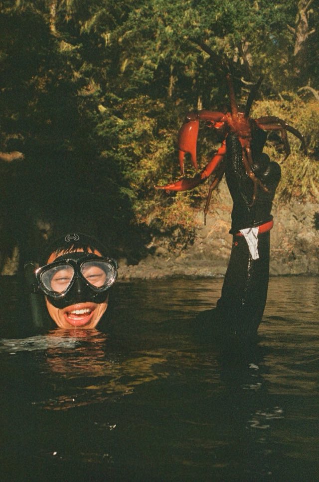 Victoria, BC. Nikonos bajo el agua, entre el kelp, septiembre 2026