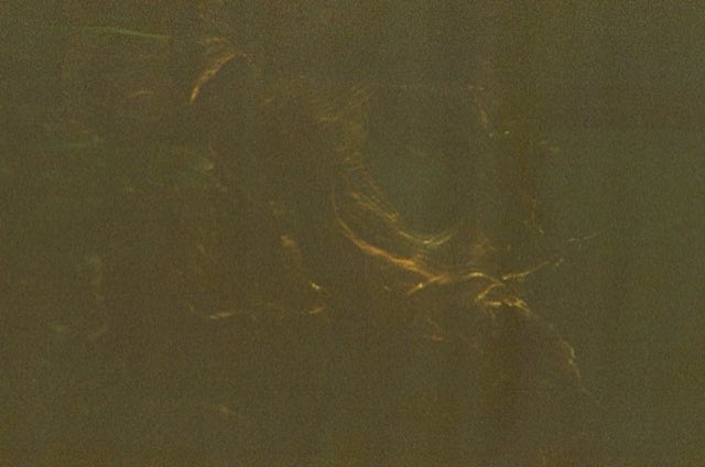 Victoria, BC. Nikonos bajo el agua, entre el kelp, septiembre 2026