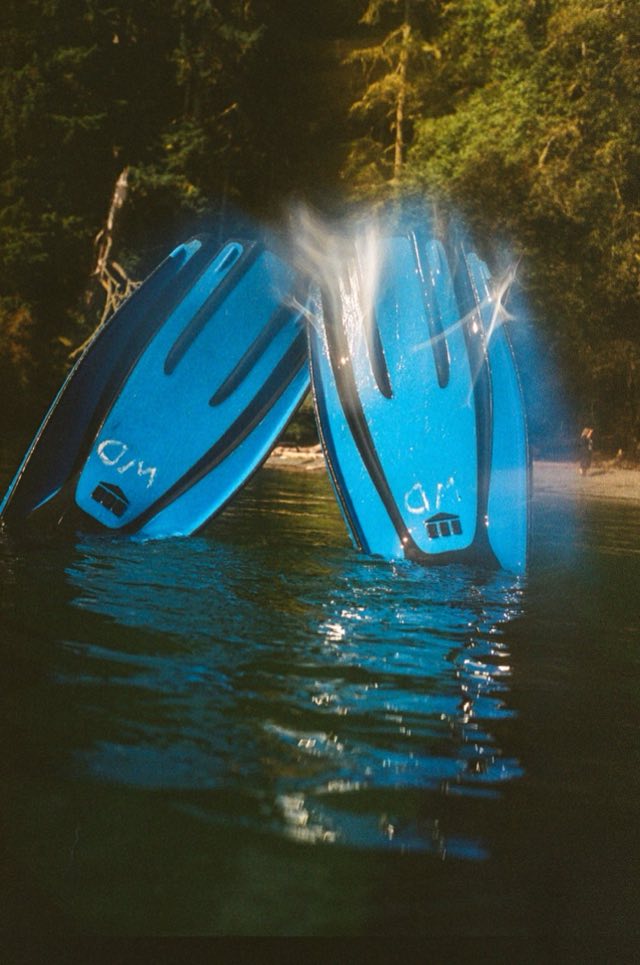 Victoria, BC. Nikonos bajo el agua, entre el kelp, septiembre 2026