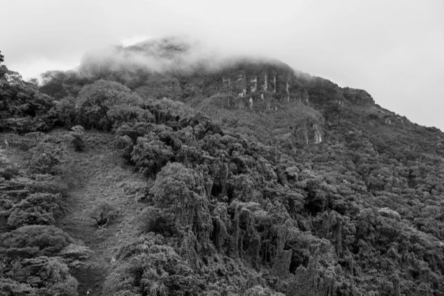 La Cruz de Alajuelita en blanco y negro, Nikon Z fc
