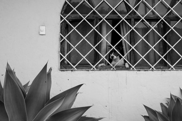 La Cruz de Alajuelita en blanco y negro, Nikon Z fc