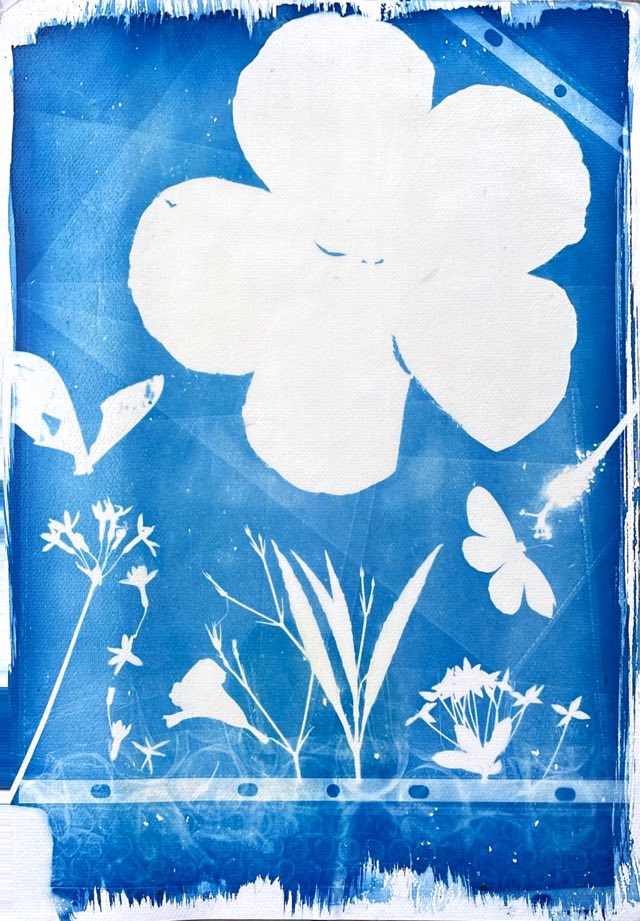 Cianotipia de flores, hojas y una mariposa sobre azul, con el borde blanco del papel