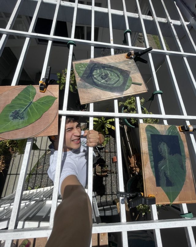 Esteban detrás de una reja con tres clorotipias sobre hojas, prensadas con vidrio y pinzas al sol